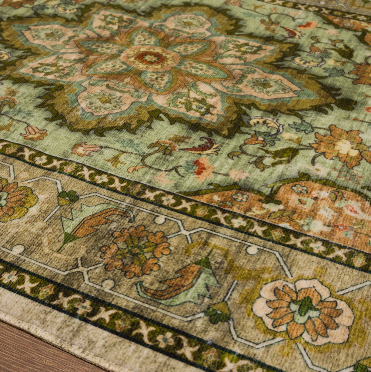 Aubrey Classic Medallion Rug for Living and Bedroom Spaces