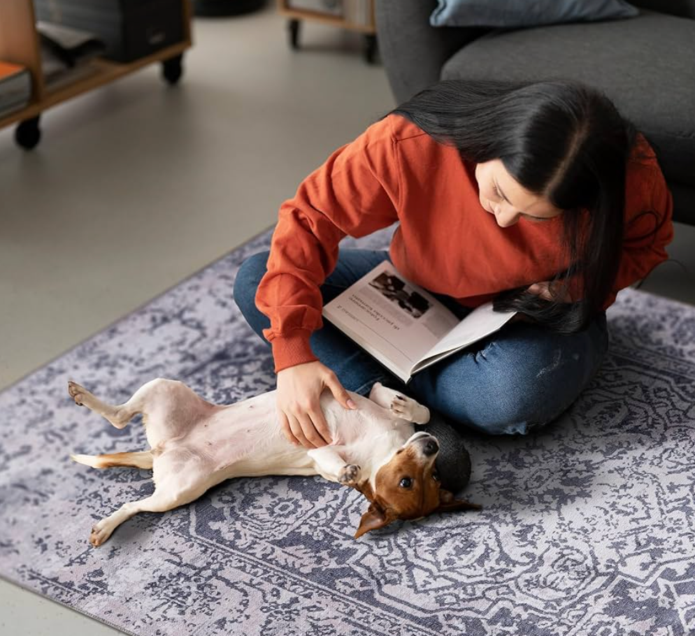 Expert Tips for Choosing Dog-Friendly Rugs for Your Home