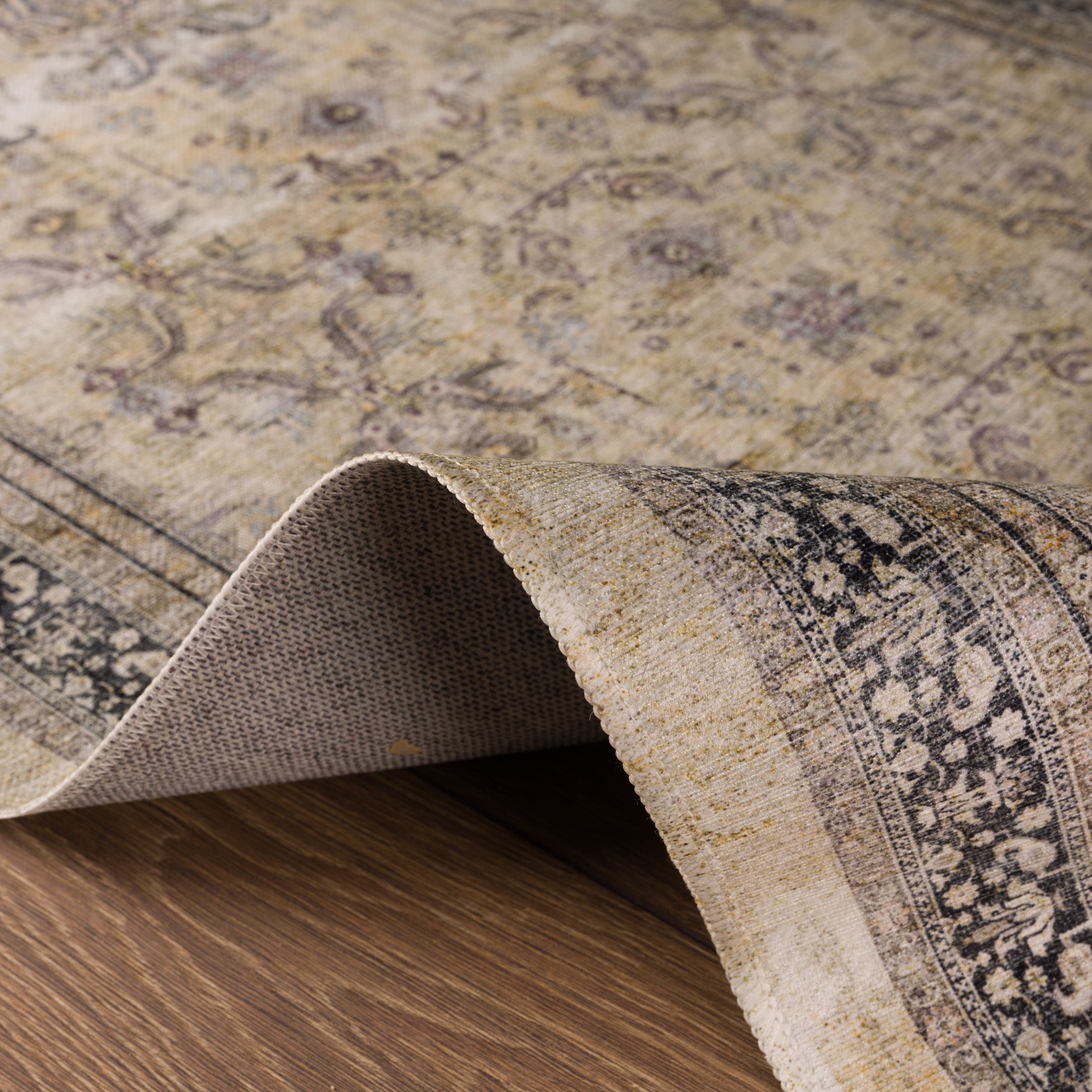 Sabra Distressed Ornamental Rug