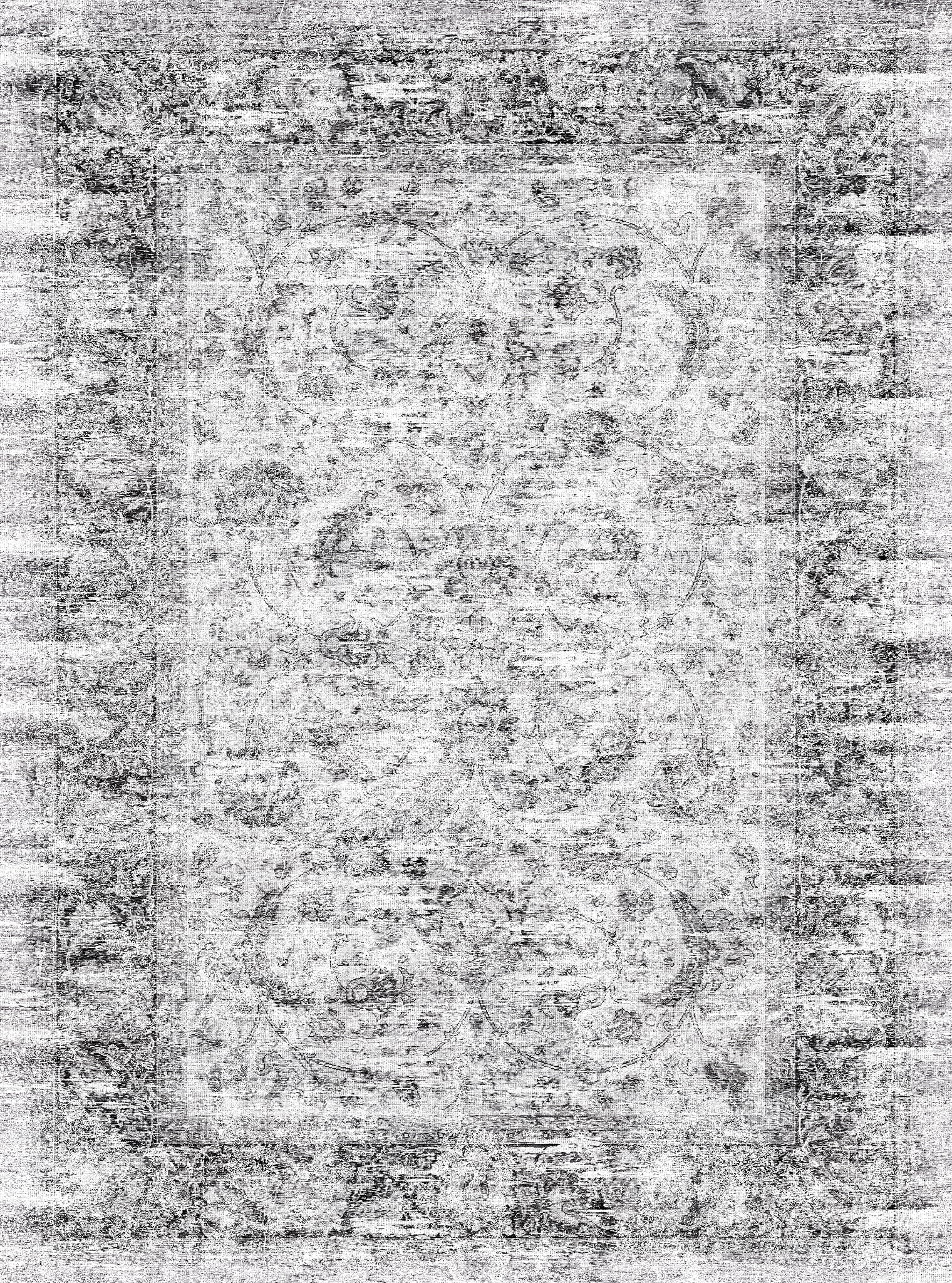 Arlo Distressed Ornamental Rug