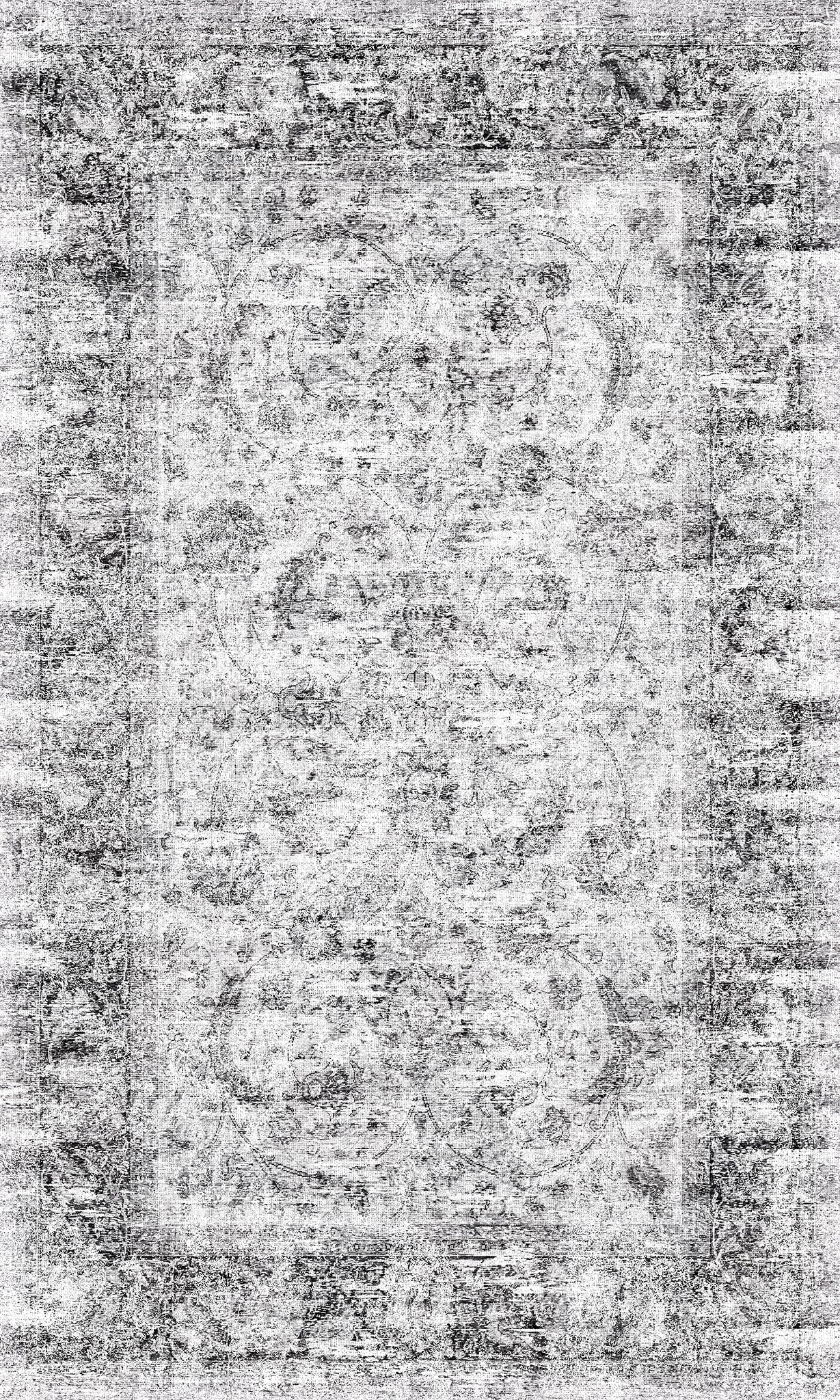 Arlo Distressed Ornamental Rug