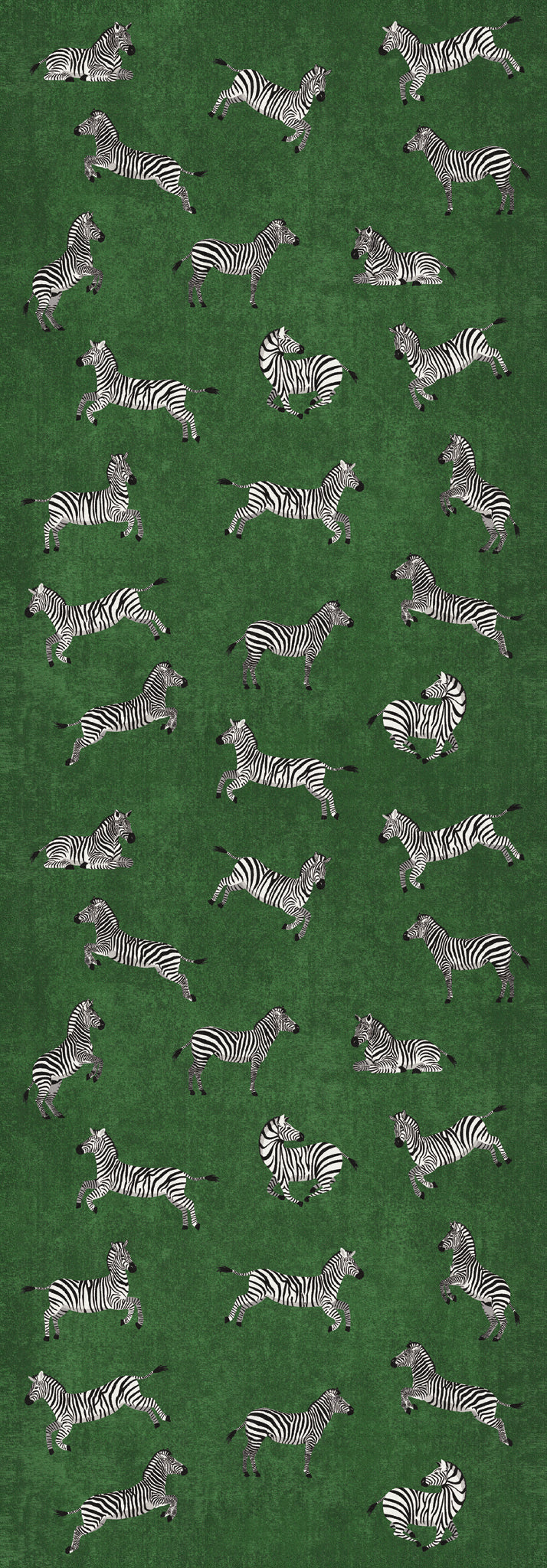 Riley Zebraprint mønster tæppe