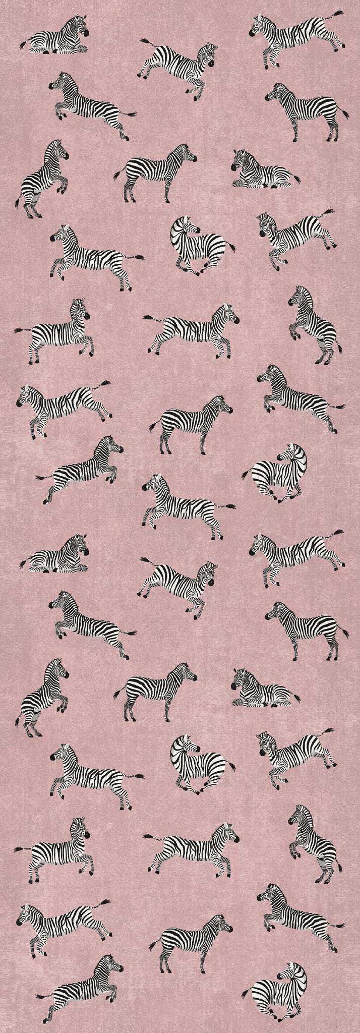 Riley Zebraprint mønster tæppe