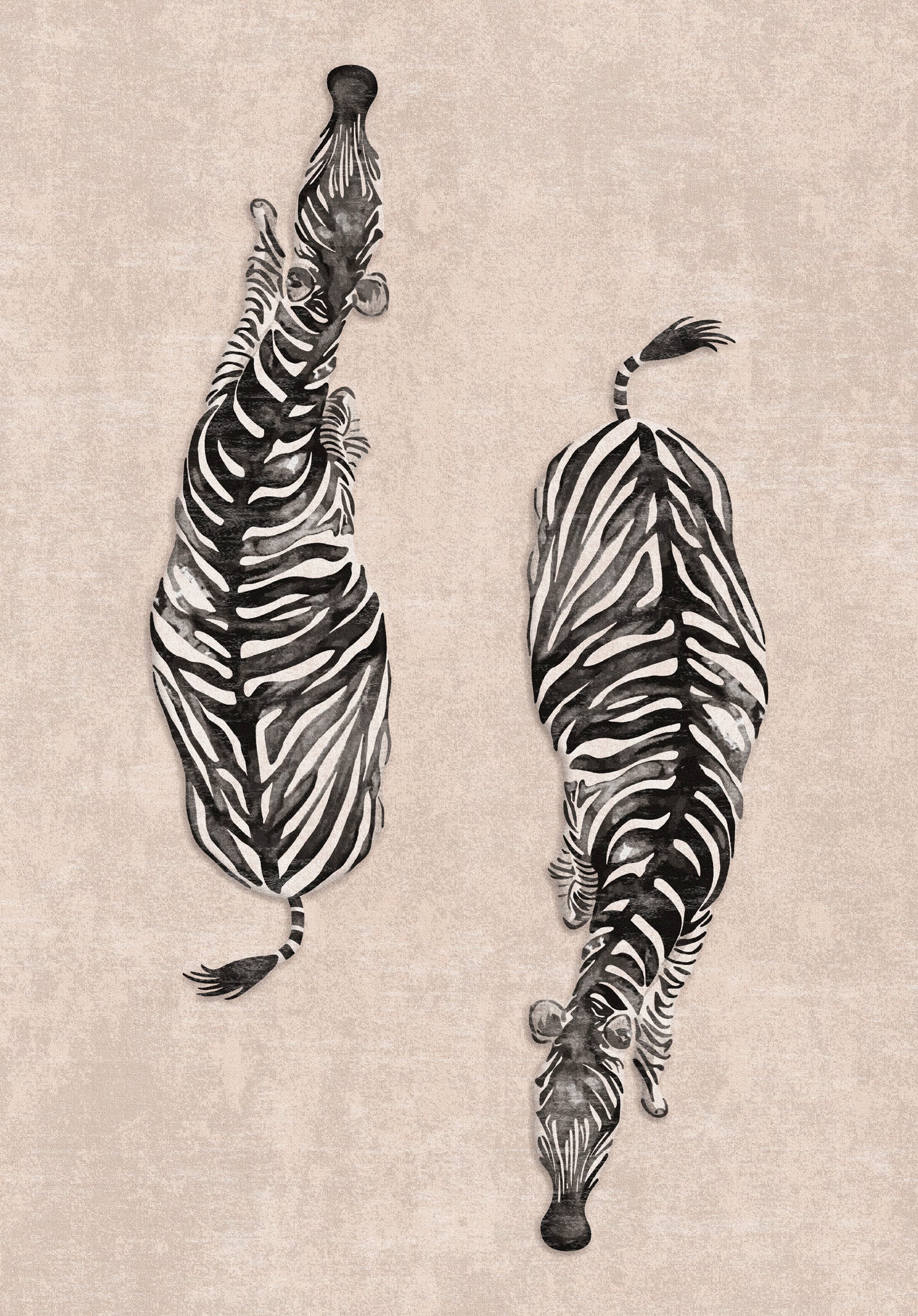 Sierra Dual Zebra Modern Rug