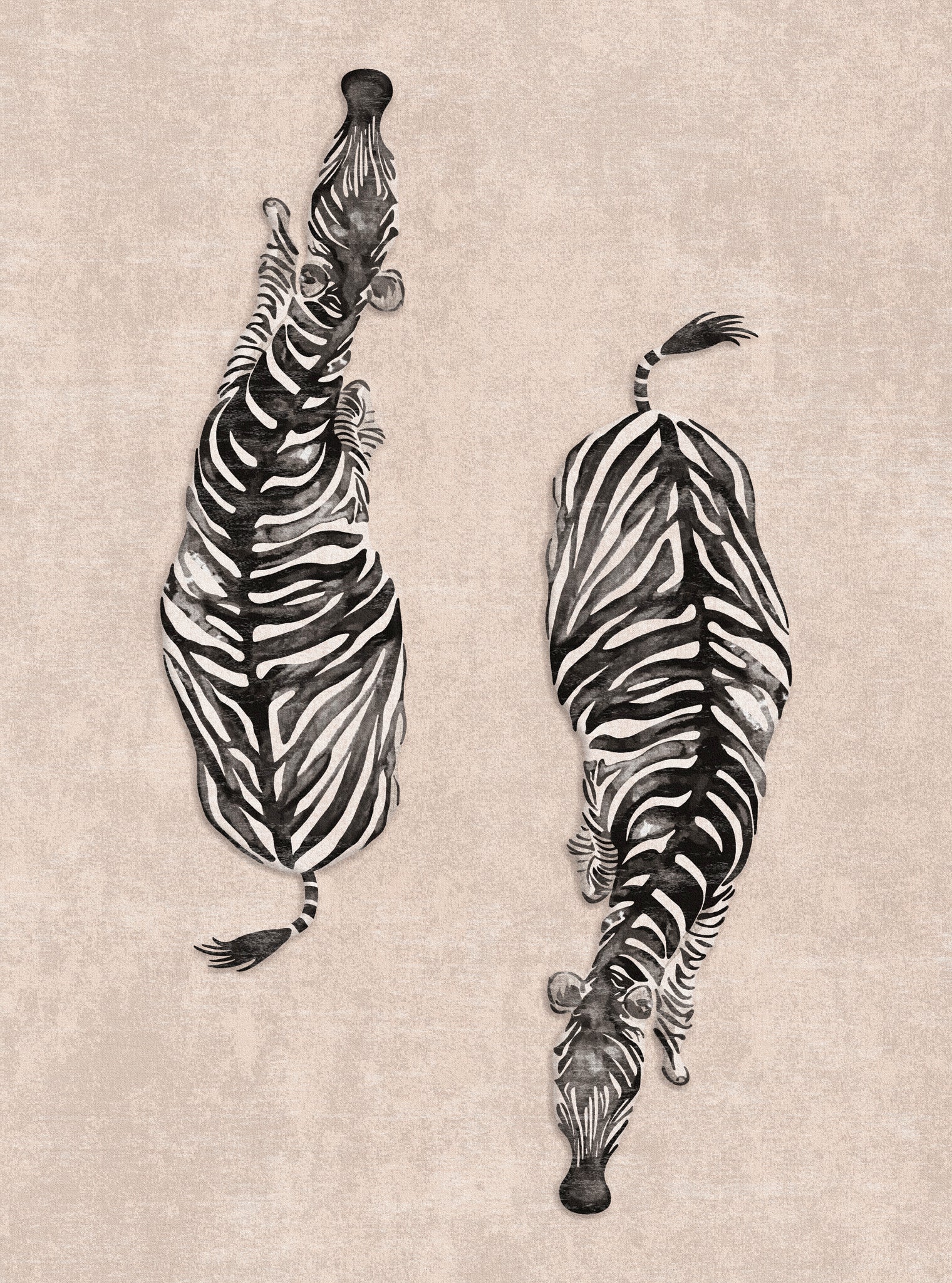 Sierra Dual Zebra Modern Rug