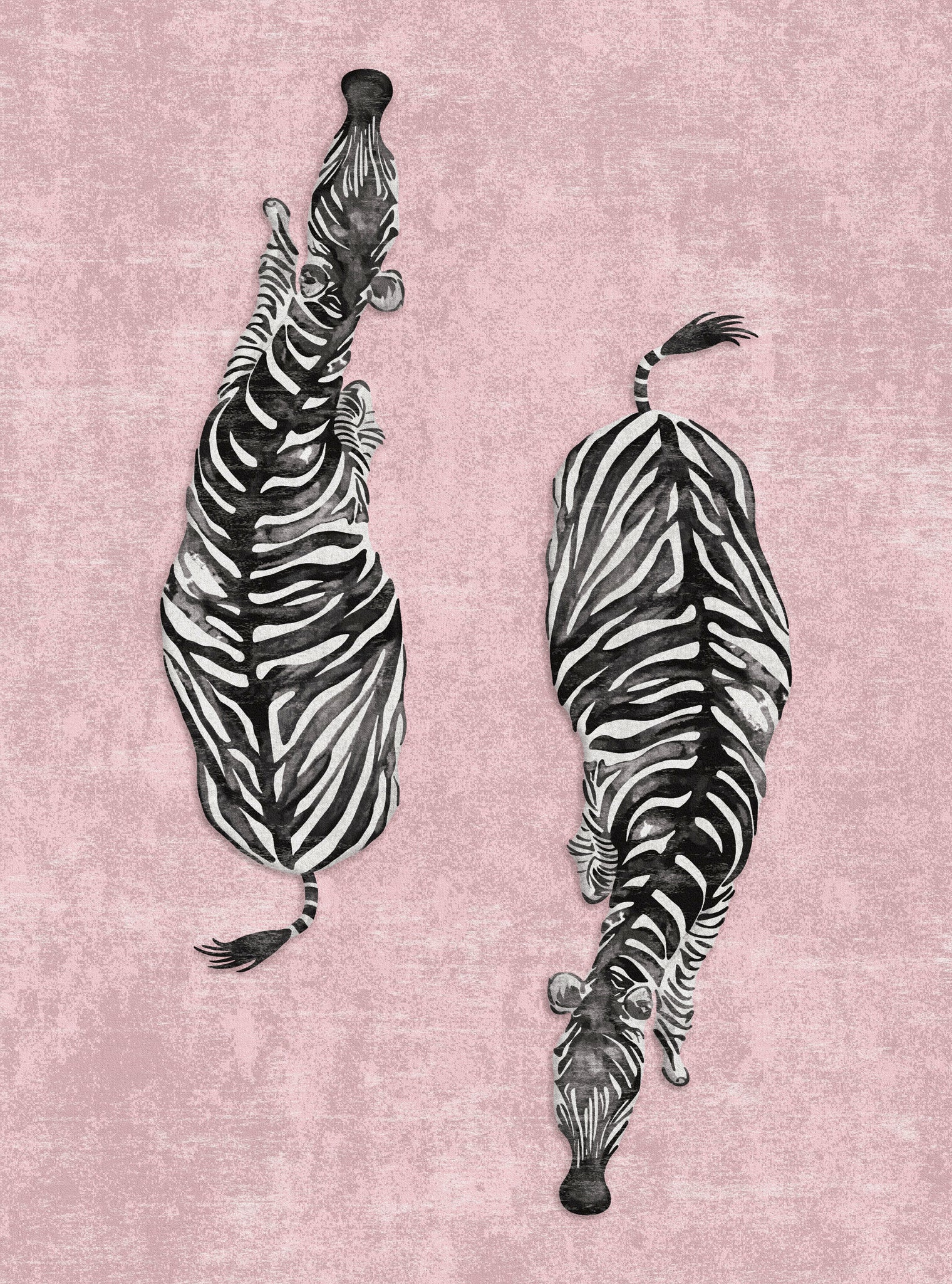 Sierra Dual Zebra Modern Rug