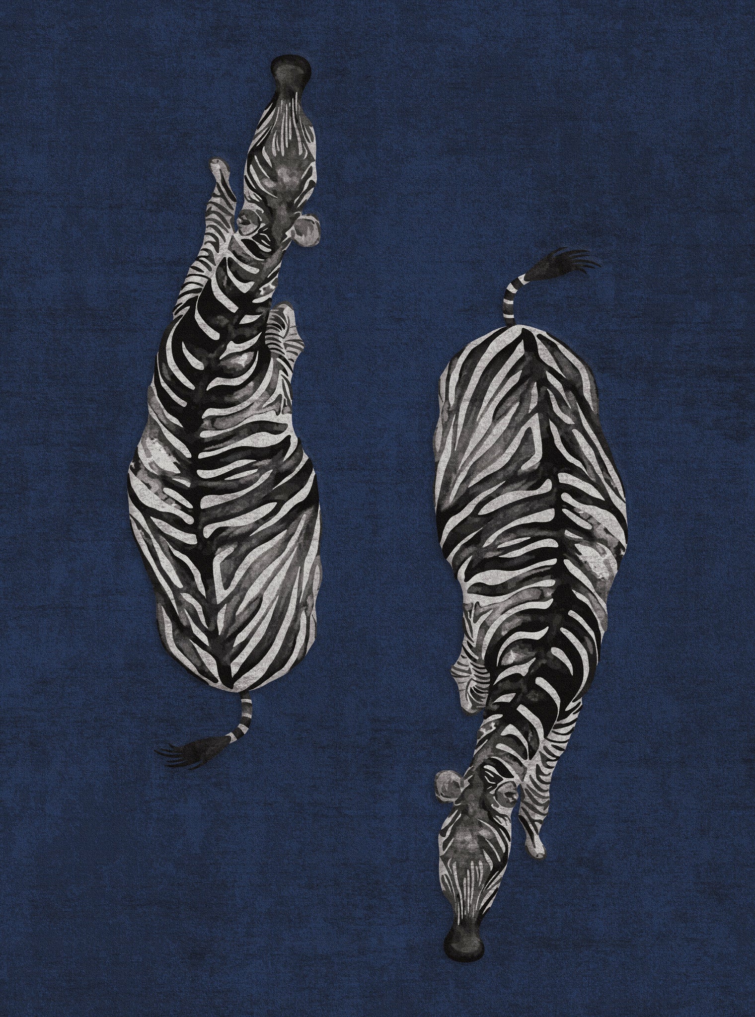 Sierra Dual Zebra Modern Rug