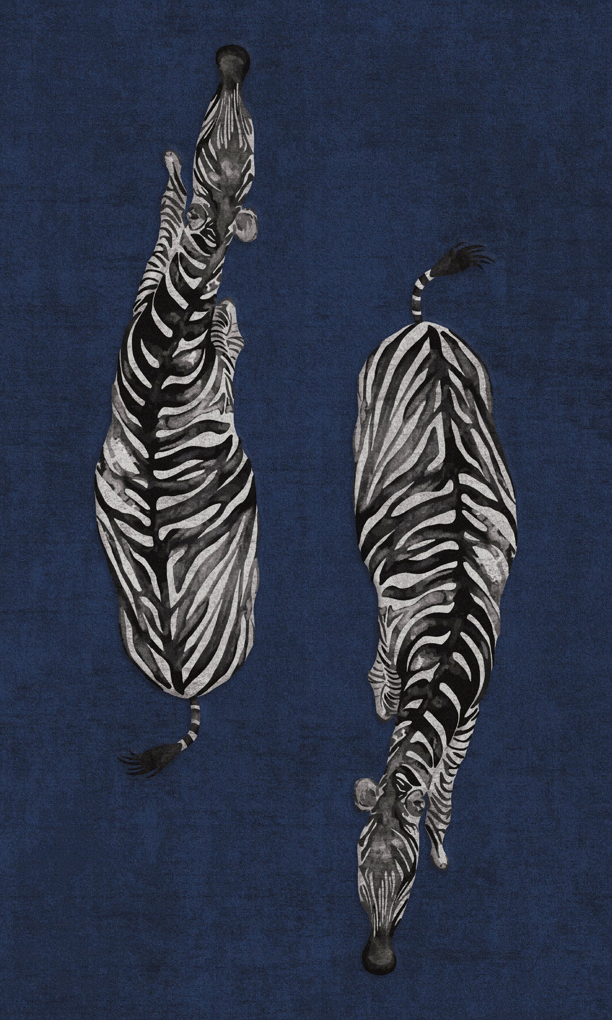 Sierra Dual Zebra Modern Rug