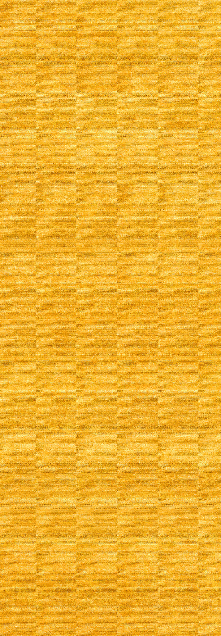 Bonnie Vintage Distressed Rug