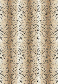 Zara Spotted Pattern Rug