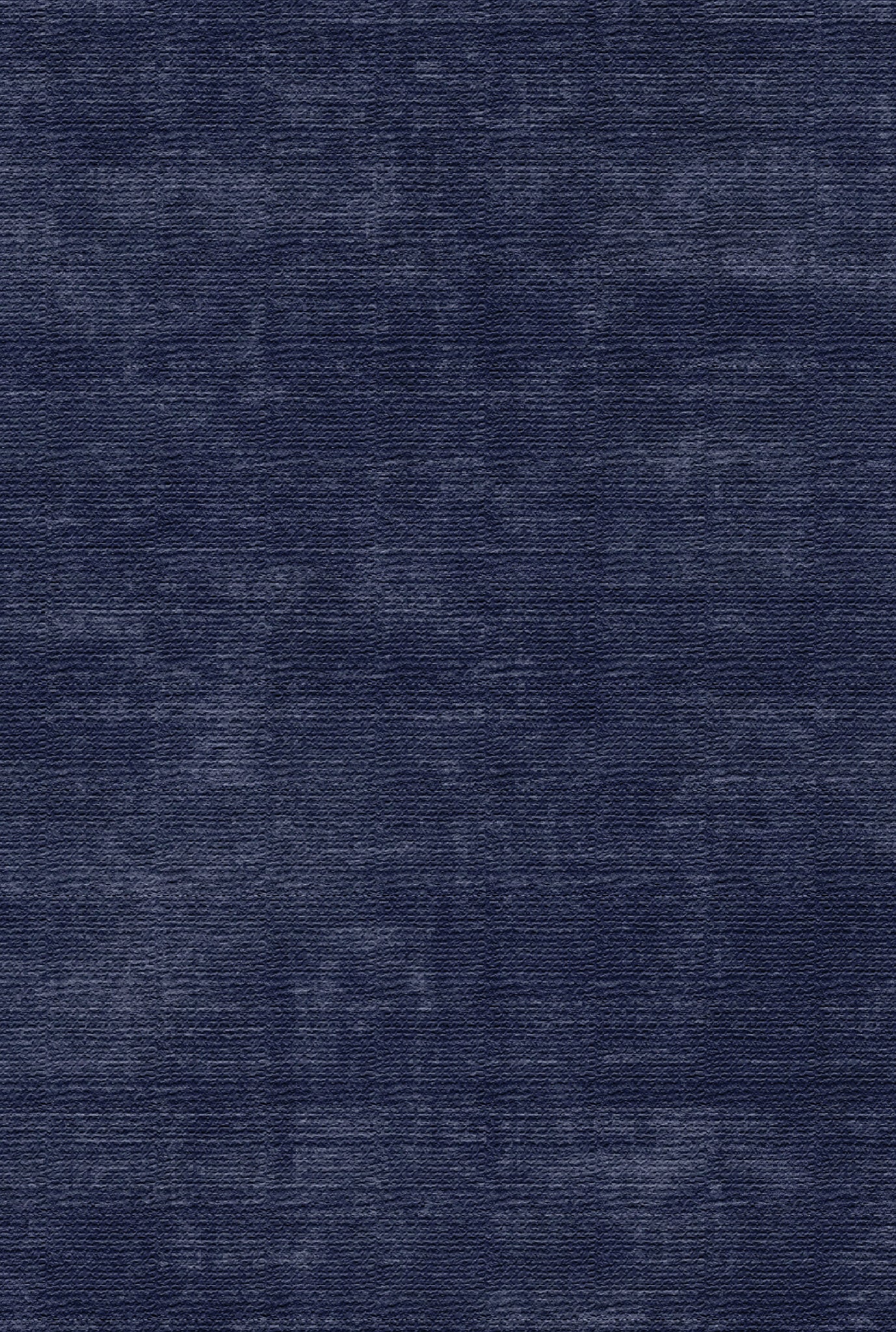 Juno Distressed Texture Rug