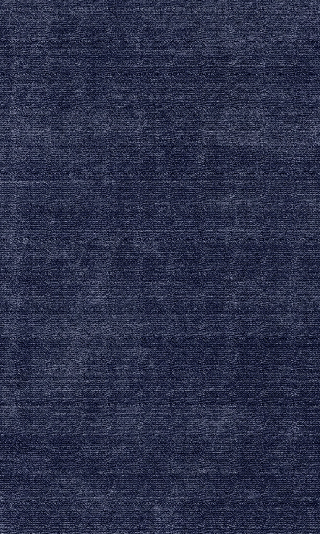 Juno Distressed Texture Rug