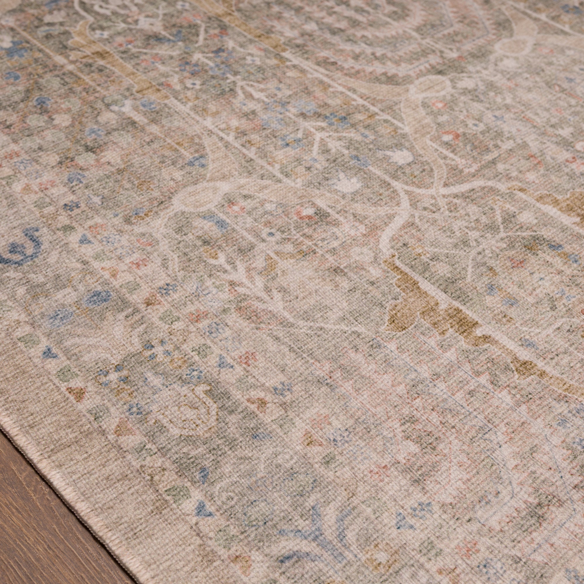 Maeve Washed Ornamental Rug