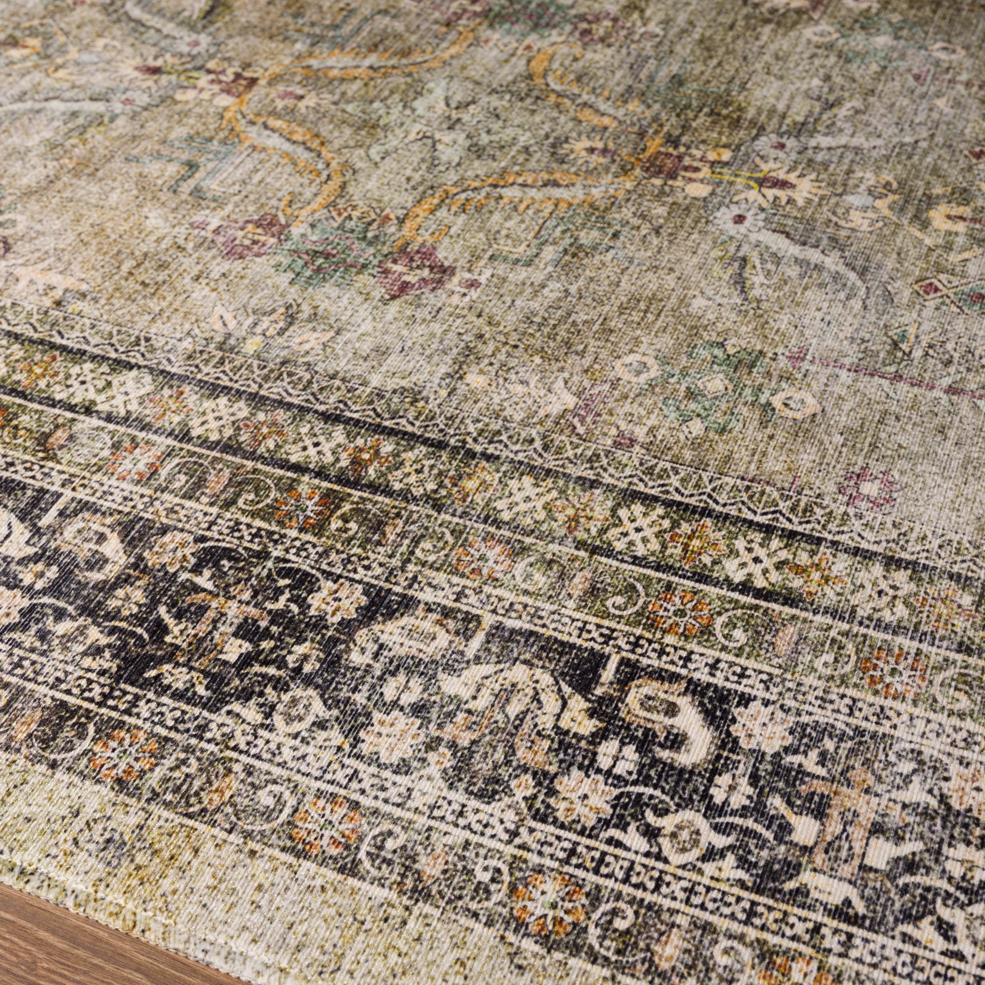 Sabra Distressed Ornamental Rug