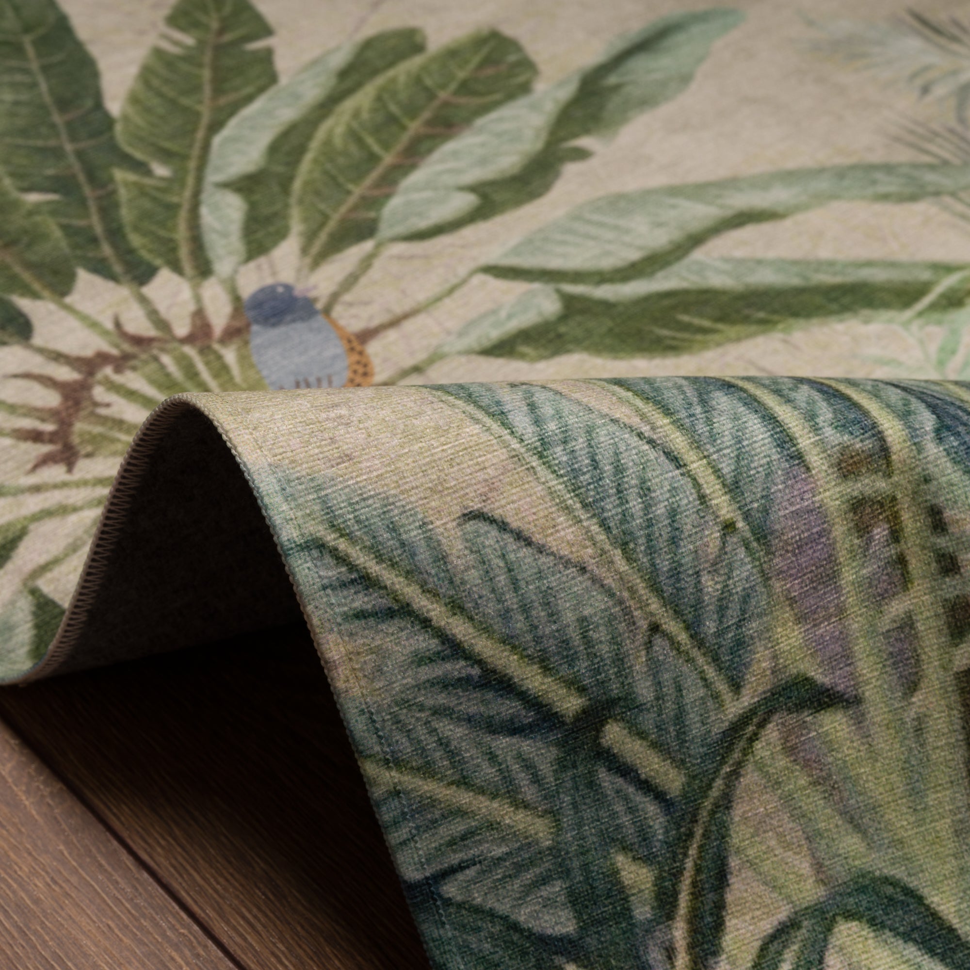 Ellis Atogrąžų paukščių sodo kilimas