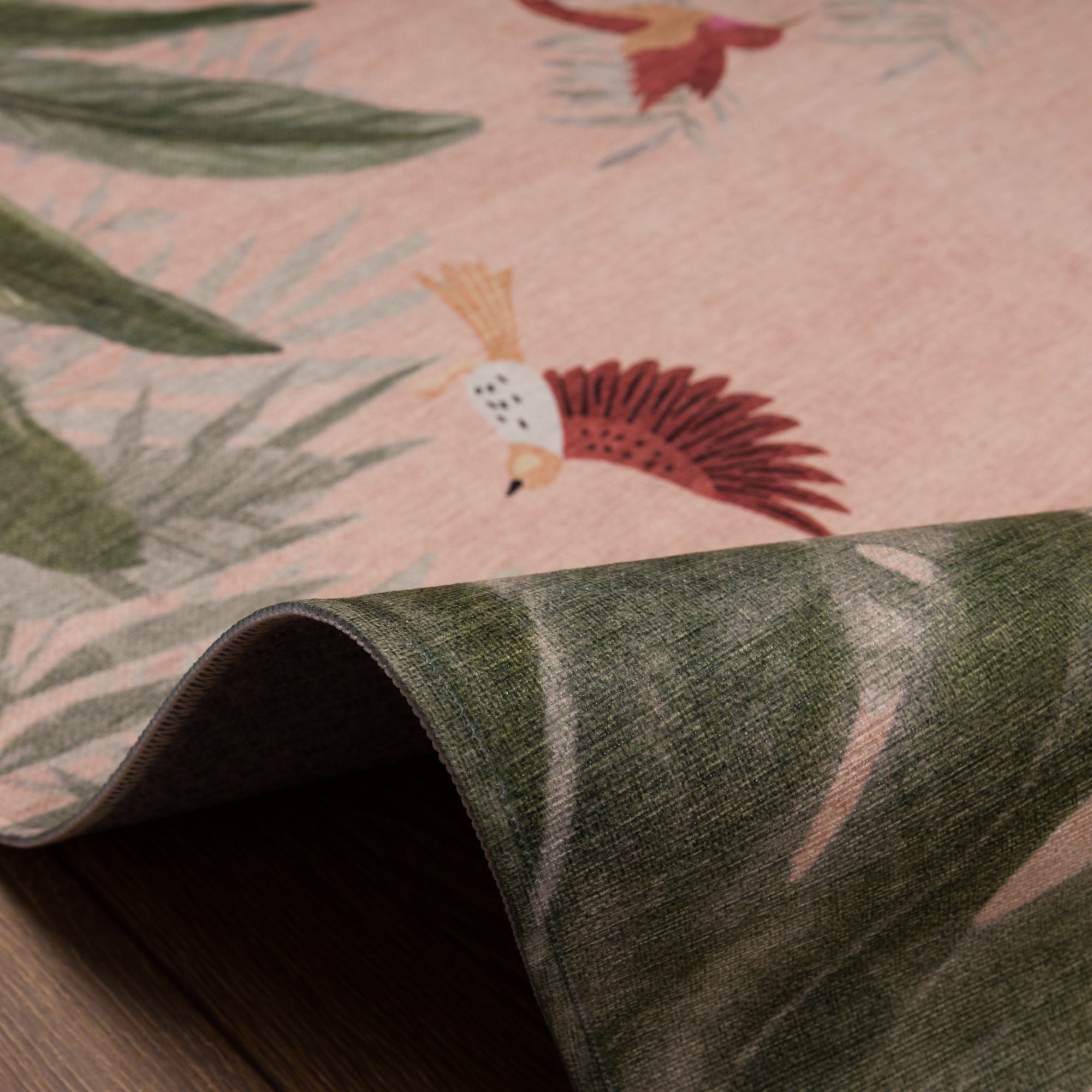 Ellis Atogrąžų paukščių sodo kilimas