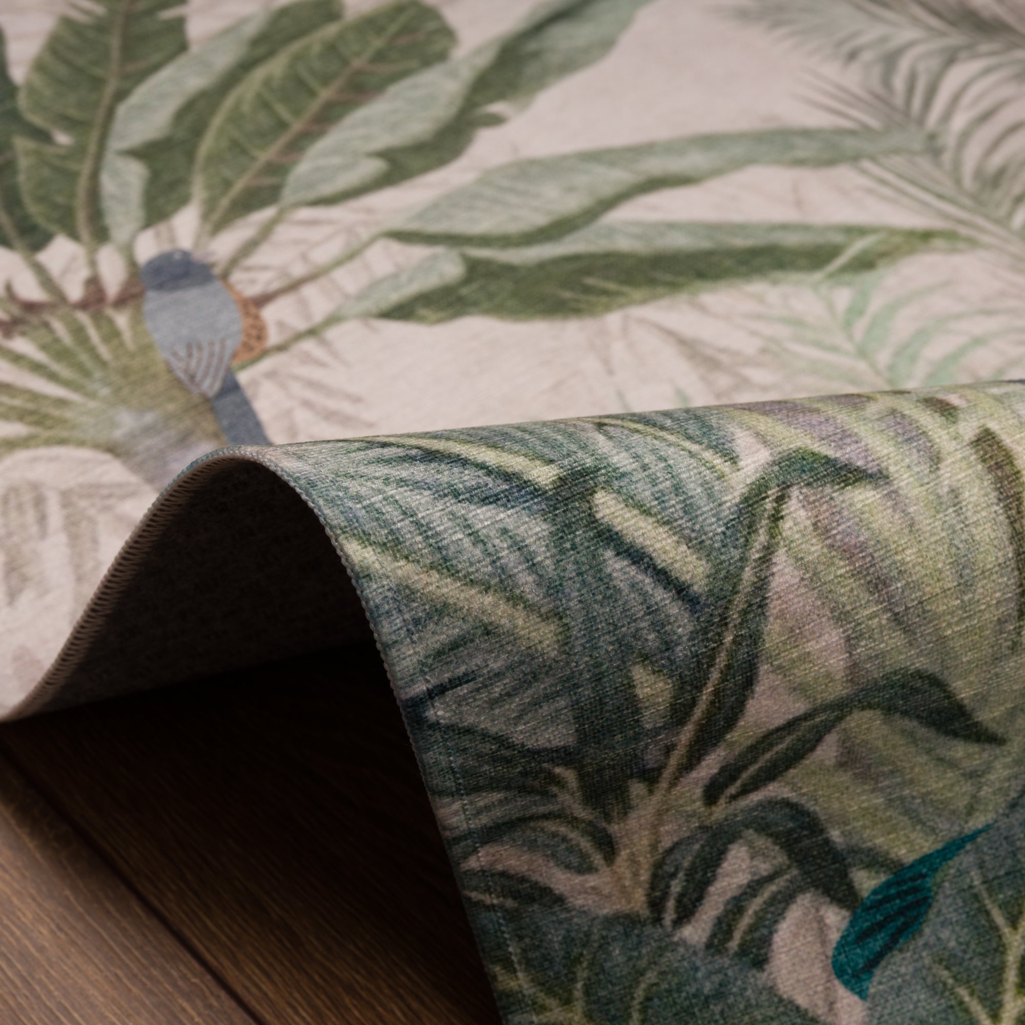 Ellis Atogrąžų paukščių sodo kilimas