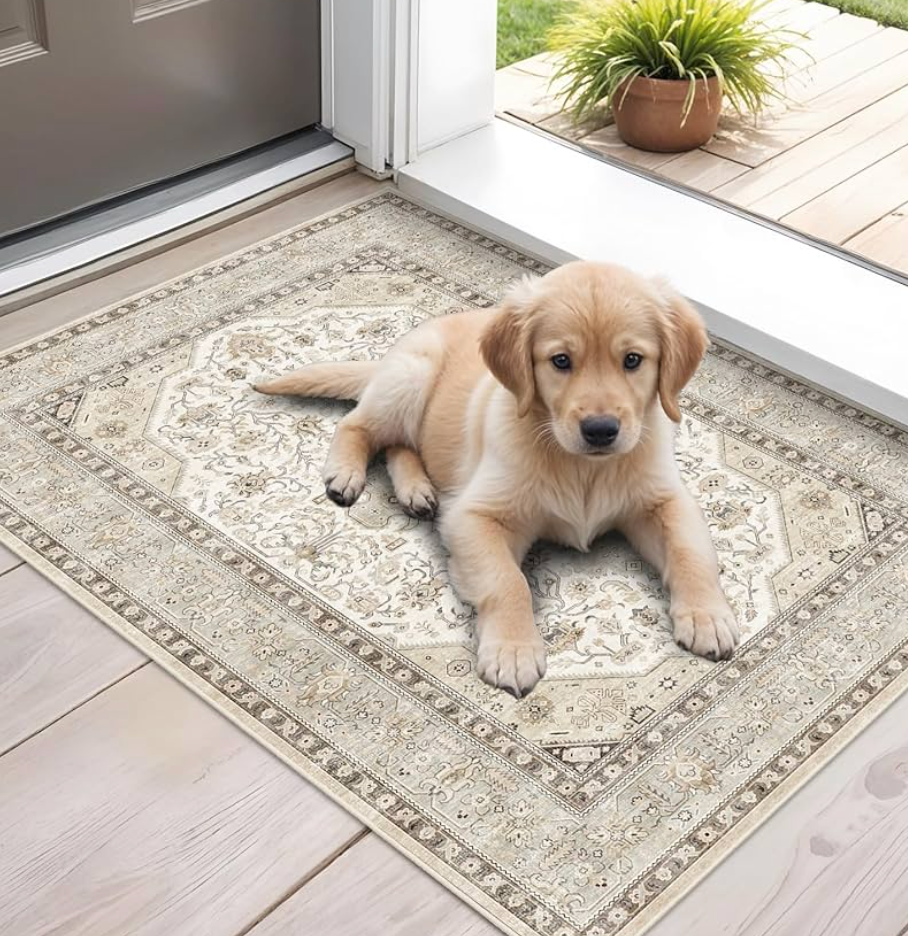 Why Choose Pet-Friendly Washable Rugs?