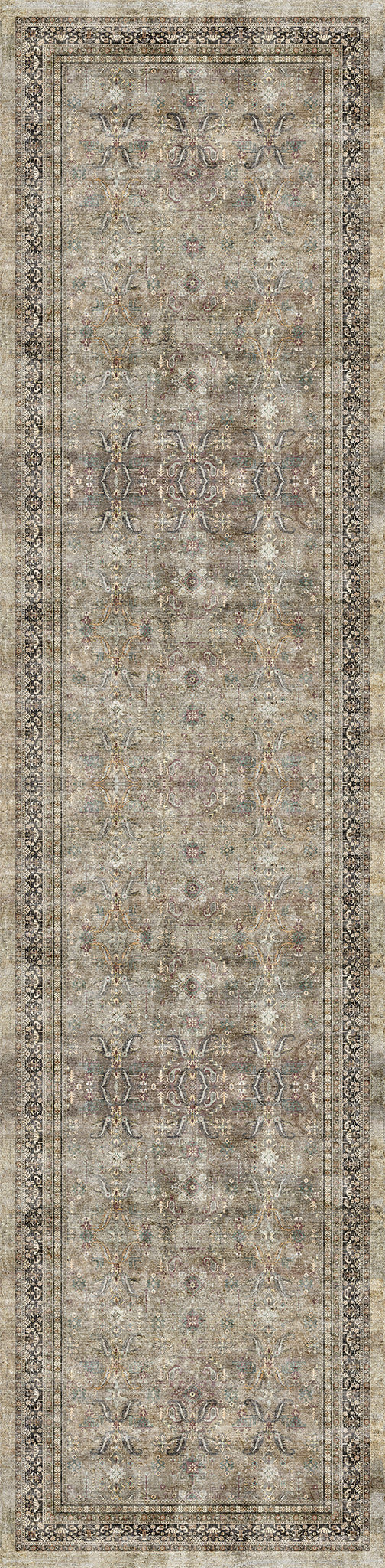 Sabra Distressed Ornamental Rug