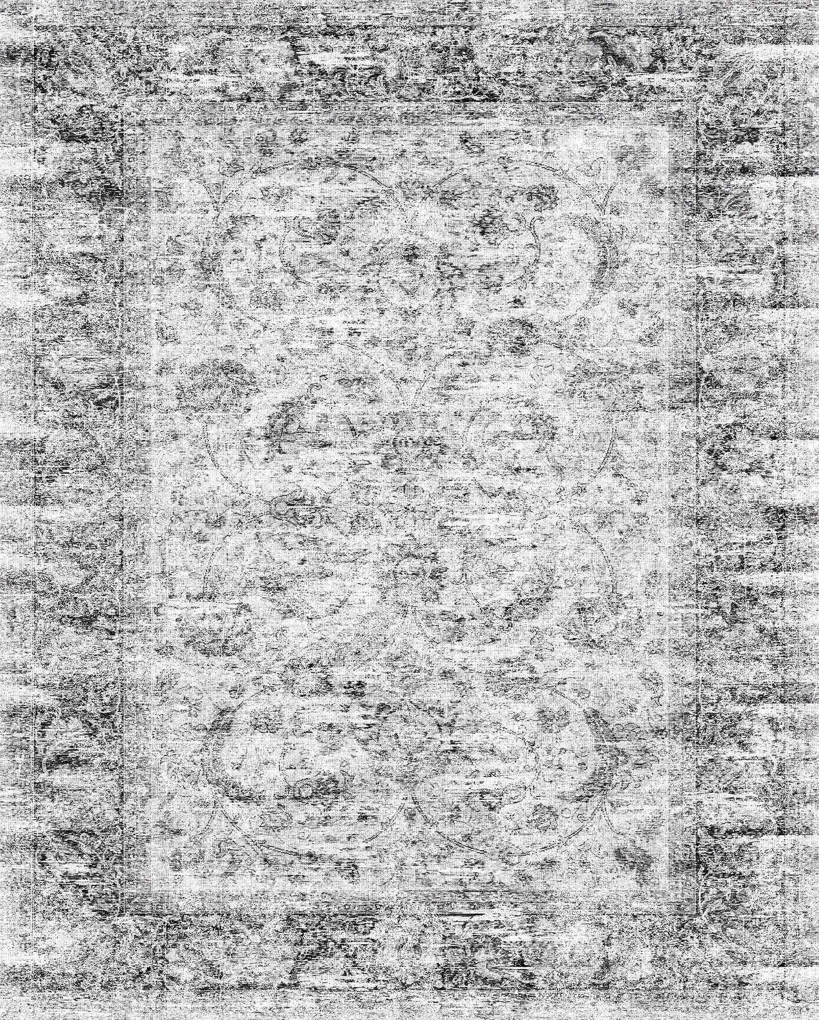 Arlo Distressed Ornamental Rug