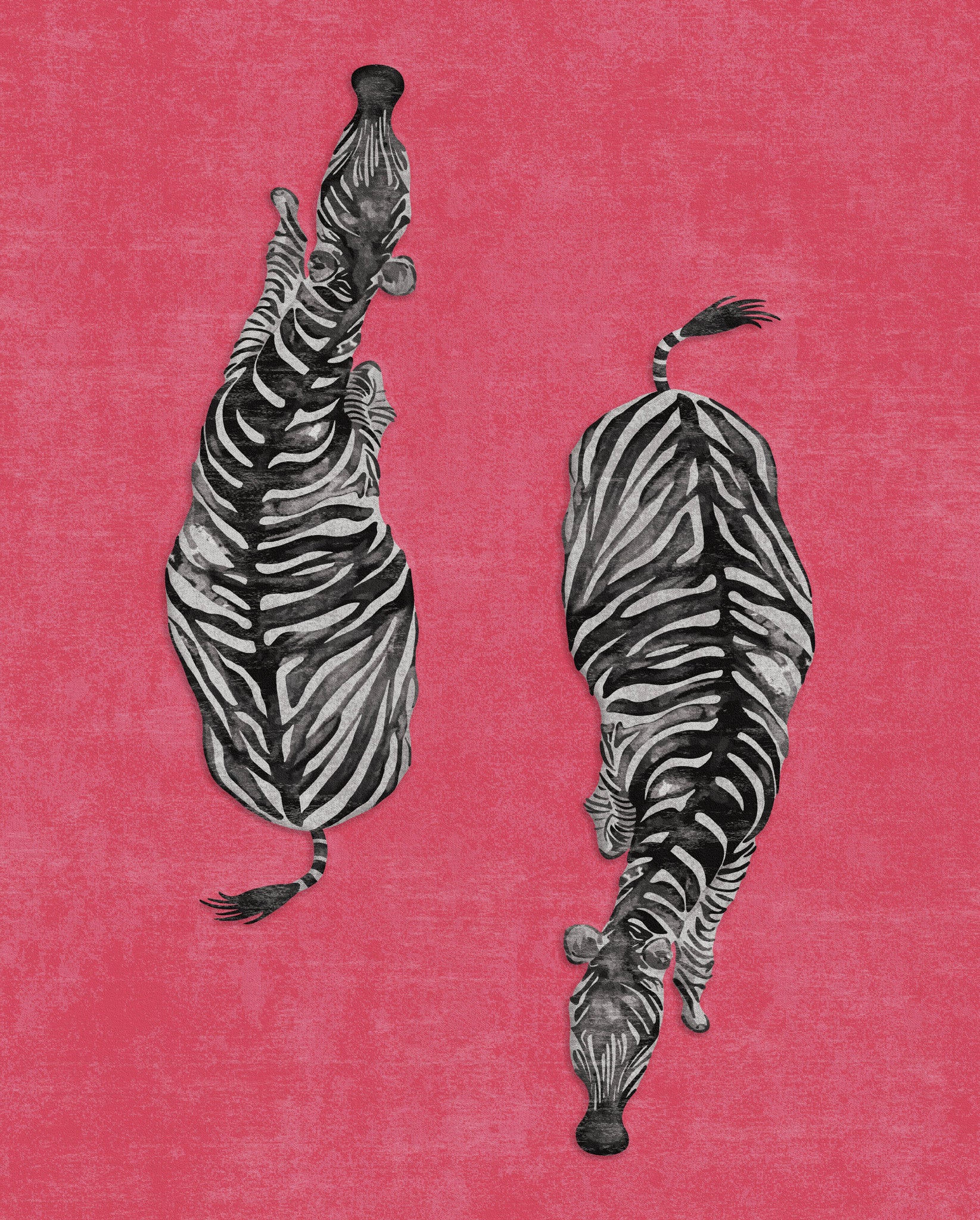 Sierra Dual Zebra Modern Rug