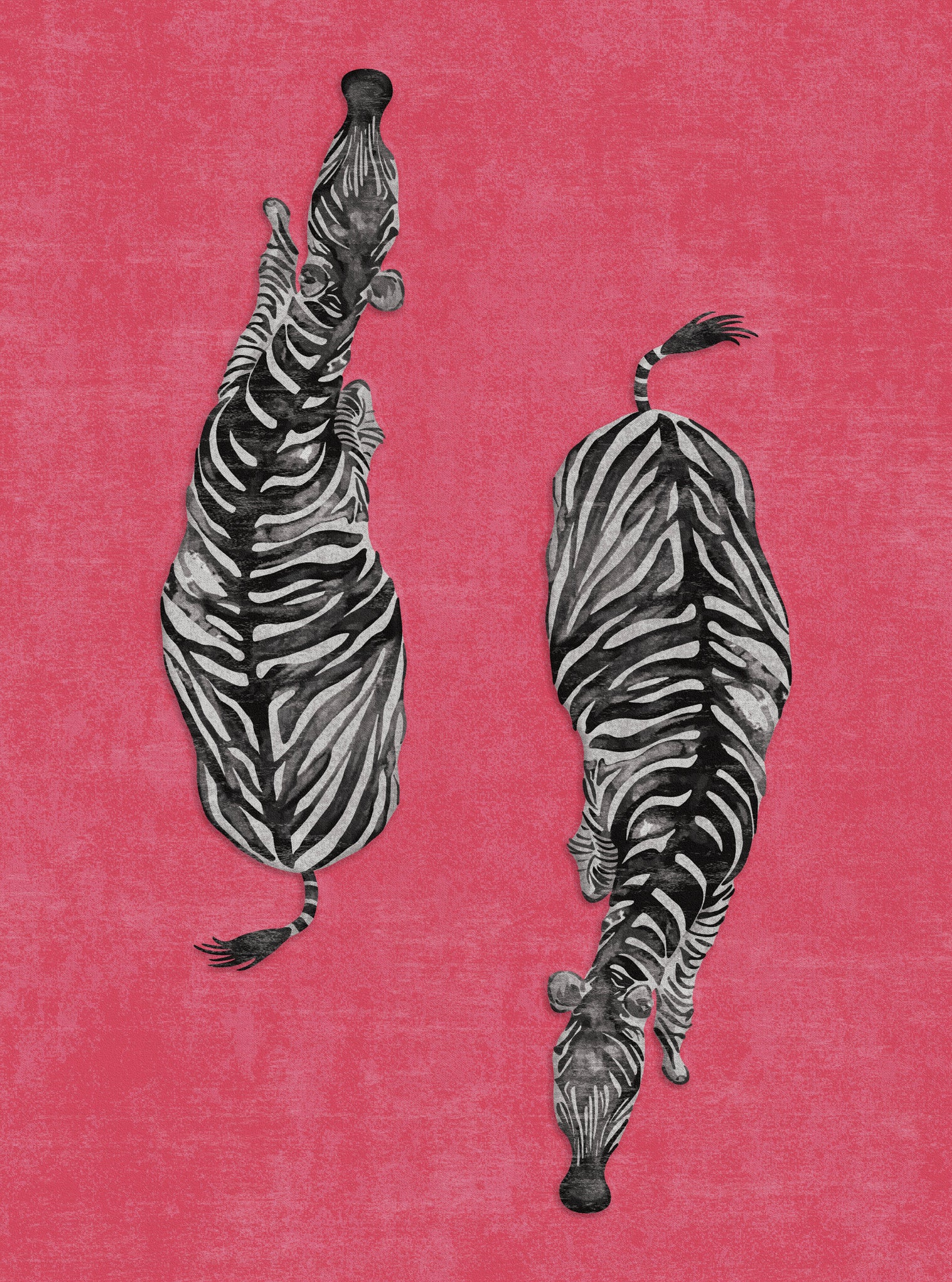 Sierra Dual Zebra Modern Rug