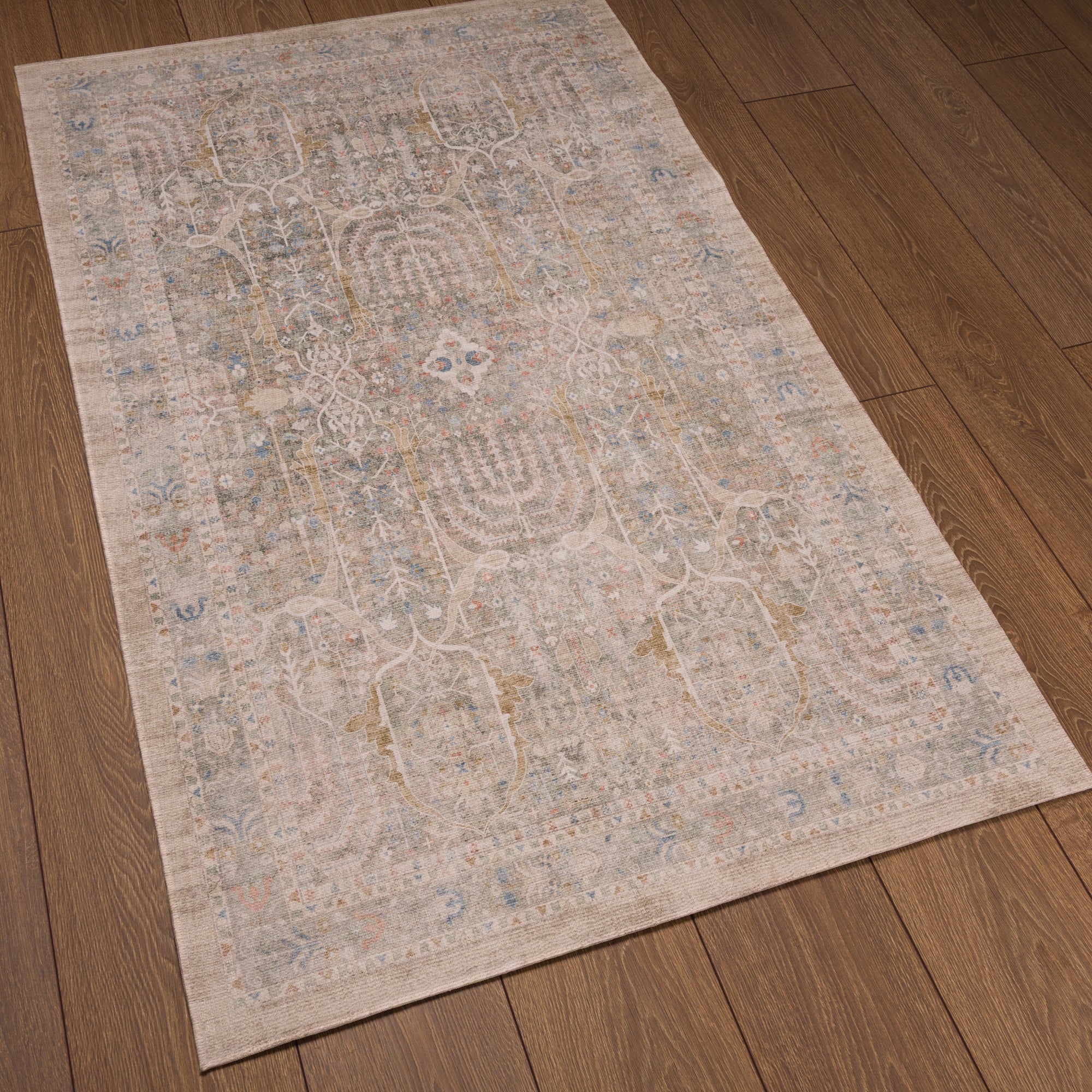 Maeve Washed Ornamental Rug