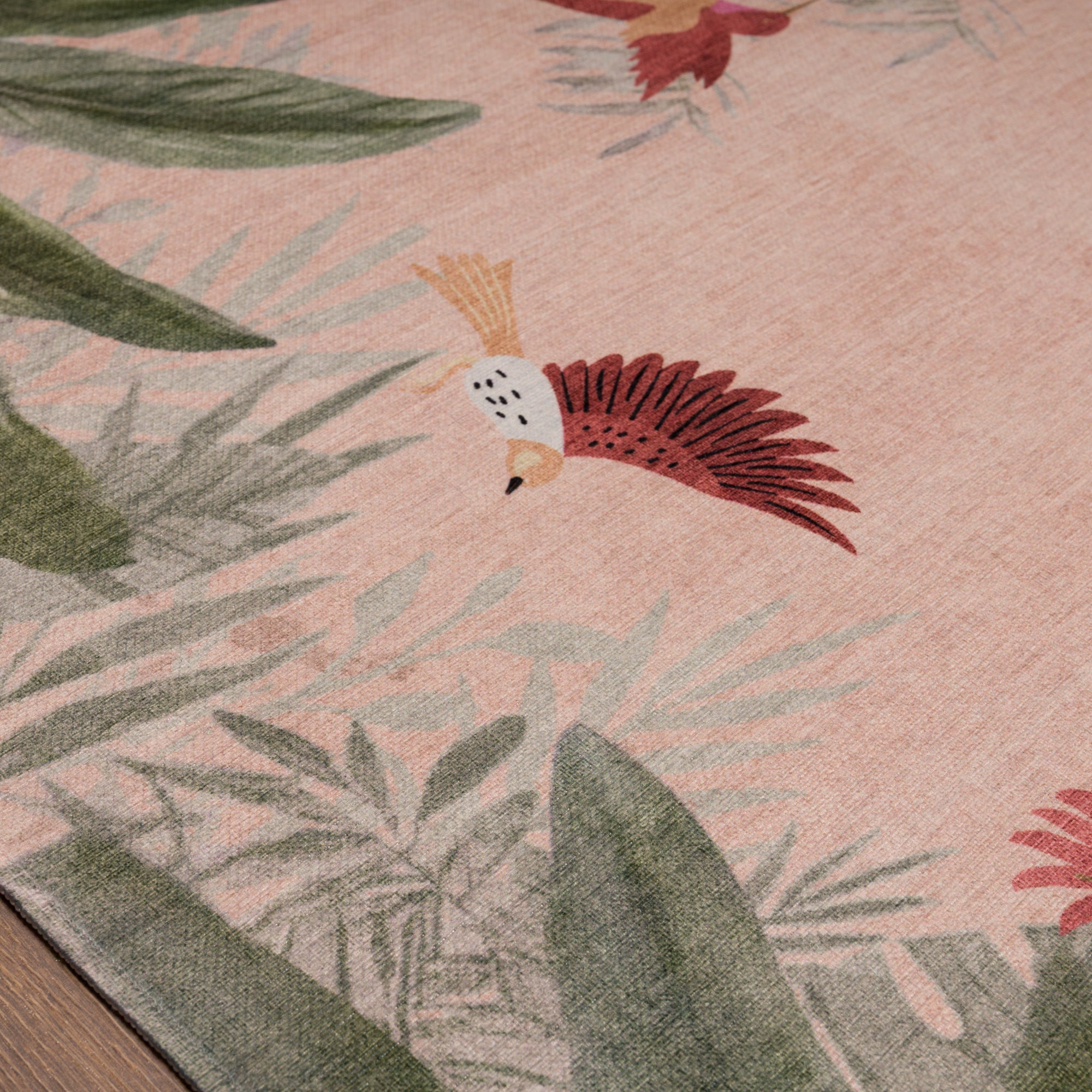 Ellis Atogrąžų paukščių sodo kilimas